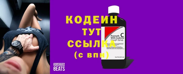 МДПВ Липки
